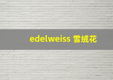 edelweiss 雪绒花